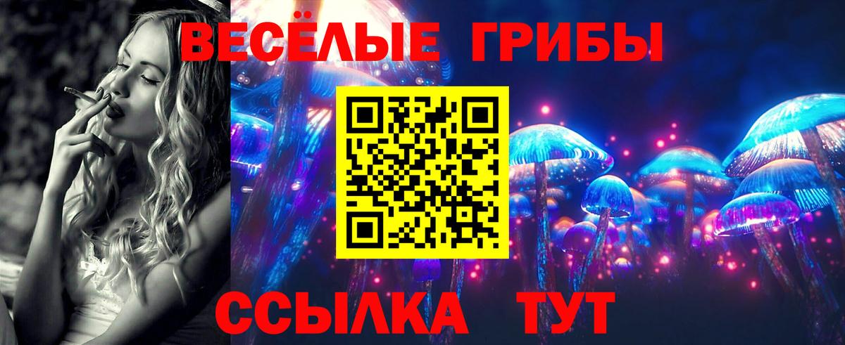 Псилоцибиновые грибы Psilocybe  Вход с VPN  Аргун 